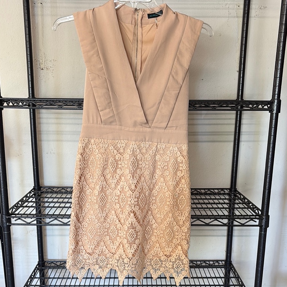 Elegant Lace Beige Dress